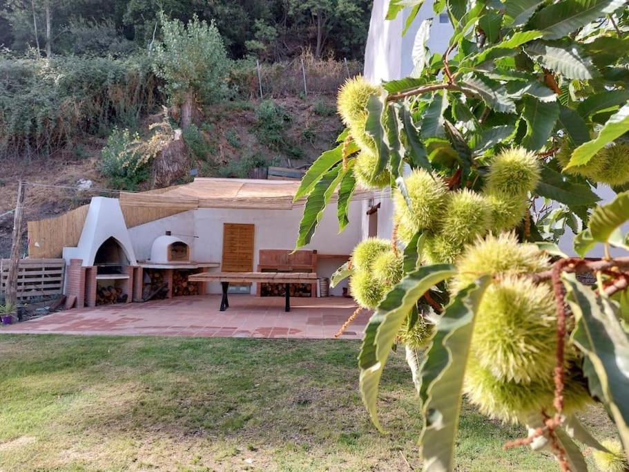 Villa Casa Barranco Júzcar Esterno foto